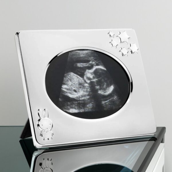 25012026697654e04a344.jpeg 25012026697654e04a344.jpeg