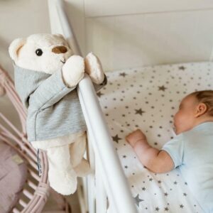 Whisbear - Szumiący Miś Julek