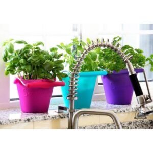 Fioletowe zwijane wiaderko silikonowe