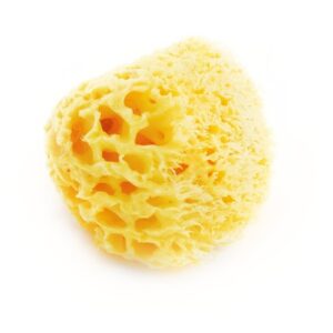 GĄBKA MORSKA do kąpieli duża