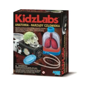 NARZĄDY CZŁOWIEKA anatomia zestaw naukowy