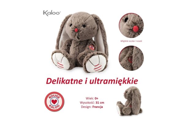 2405202466507d5219559.jpeg 2405202466507d5219559.jpeg