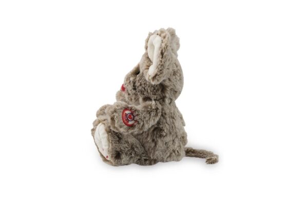 2405202466507d55ca9d5.jpeg 2405202466507d55ca9d5.jpeg