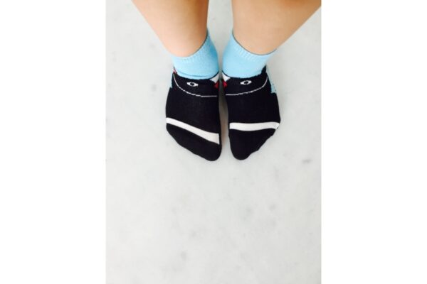 2405202466509ac041b59.jpeg 2405202466509ac041b59.jpeg