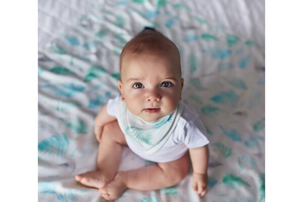 2405202466509acff3dab.jpeg 2405202466509acff3dab.jpeg