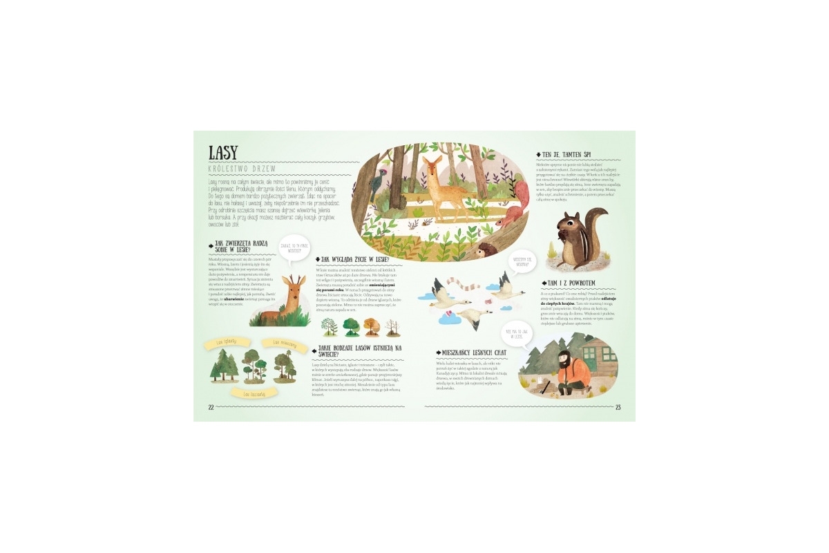 2405202466509e98ae2b5.jpeg 2405202466509e98ae2b5.jpeg