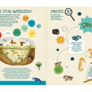 GDZIE SIĘ CHOWA ŚNIEŻNA SOWA? Znajduj zwierzęta na wszystkich kontynentach