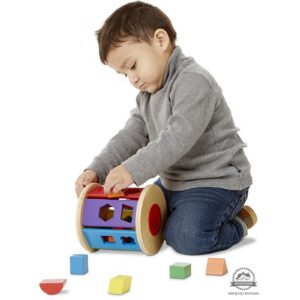 KSZTAŁTY I KOLORY sorter