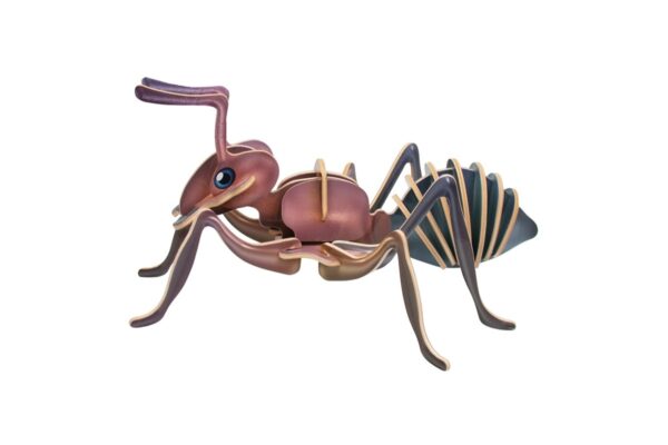 27052024665436fe4863e.jpeg 27052024665436fe4863e.jpeg