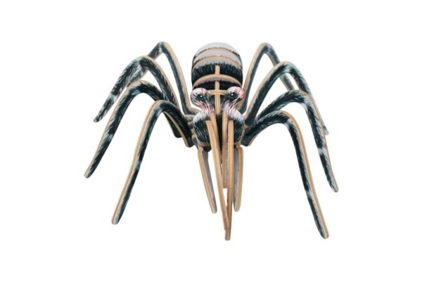 27052024665436ffa3471.jpeg 27052024665436ffa3471.jpeg