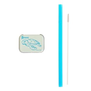 Fommi, Słomka wielorazowa w pudełku blue