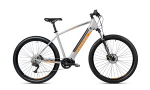 ROMET E-RAMBLER E9.0 - Oficjalny Sklep Romet