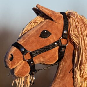 Kantar Hobby Horse Mały (A4)