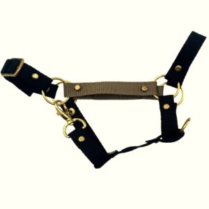 Kantar Hobby Horse GOLD(A3)