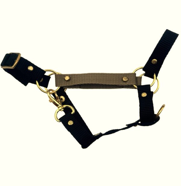 2408202568ab929fe51b3.jpeg 2408202568ab929fe51b3.jpeg