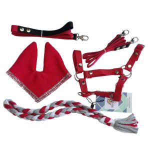 Zestaw Osprzętu Hobby Horse A4 - 5 elementów