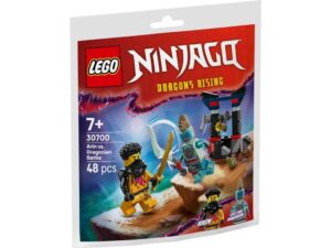 LEGO 30700 Ninjago Bitwa Arina z Dragonem