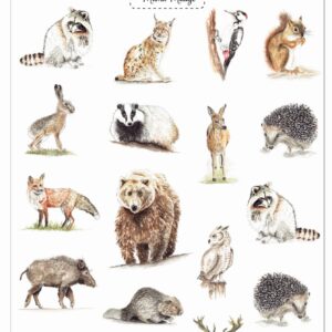 Tatuaże zmywalne dla dzieci Zwierzęta leśne