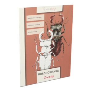 Kolorowanka dla dzieci Owady