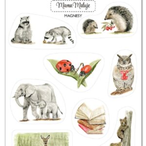 Magnesy Jak dobrze, że jesteś 1