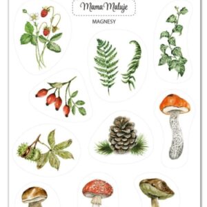 Magnesy Leśne botaniczne