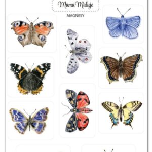 Magnesy Motyle