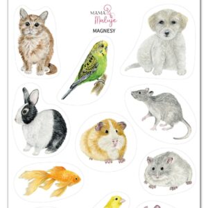 Magnesy Zwierzęta domowe