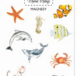 Magnesy Zwierzęta mórz i oceanów