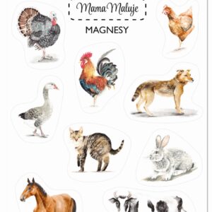 Magnesy Zwierzęta wiejskie