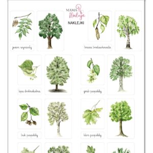 Naklejki Drzewa 1
