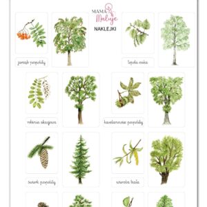 Naklejki Drzewa 2