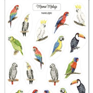 Naklejki Papugi