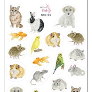 Naklejki Zwierzęta domowe