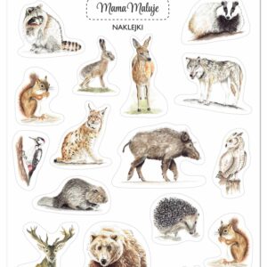 Naklejki Zwierzęta leśne