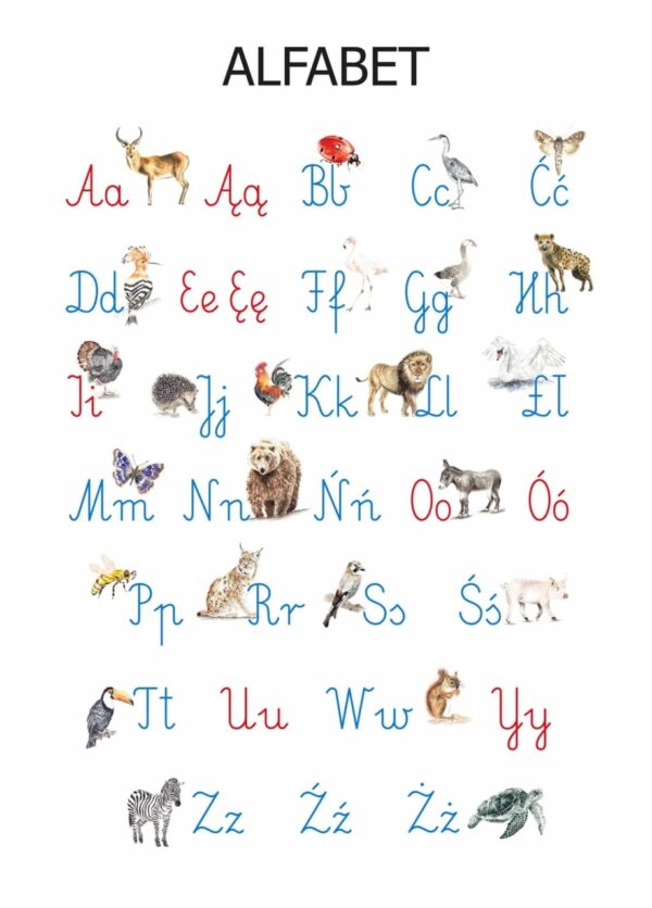 Plakat edukacyjny Alfabet