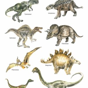 Plakat edukacyjny Dinozaury