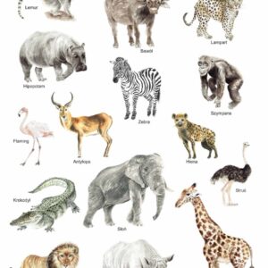 Plakat edukacyjny Zwierzęta Afryki