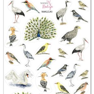 Naklejki Ptaki 2