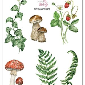 Naprasowanki Przyroda w lesie