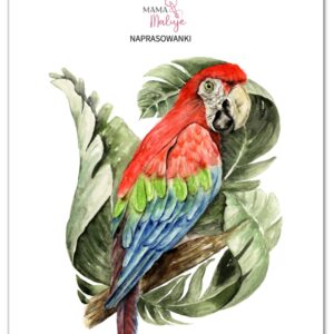 Naprasowanki Ara zielonoskrzydła