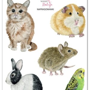 Naprasowanki Zwierzęta domowe