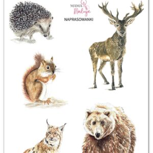 Naprasowanki Zwierzęta leśne