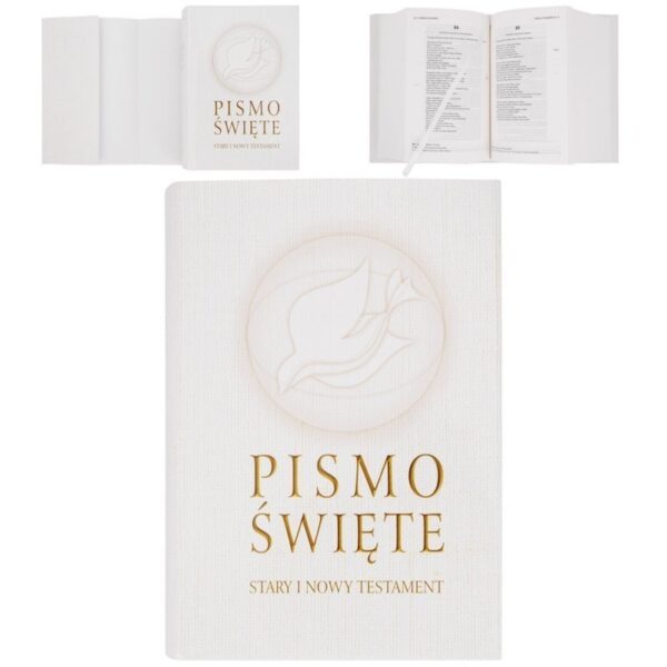 25012026697655685cd9d.jpeg 25012026697655685cd9d.jpeg