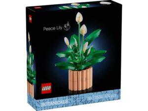 LEGO 11504 Botanicals Skrzydłokwiat