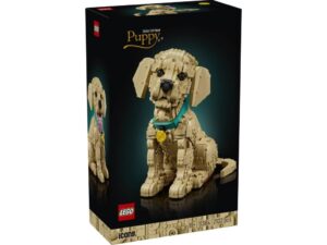 LEGO 11384 Icons Szczeniak golden retriever