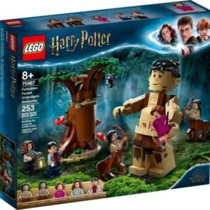 LEGO Harry Potter 75967 Zakazany Las: spotkanie Umbridge